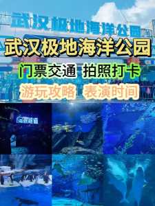 武汉海昌极地海洋世界电话？武汉海昌极地海洋世界门票预订攻略？  第3张